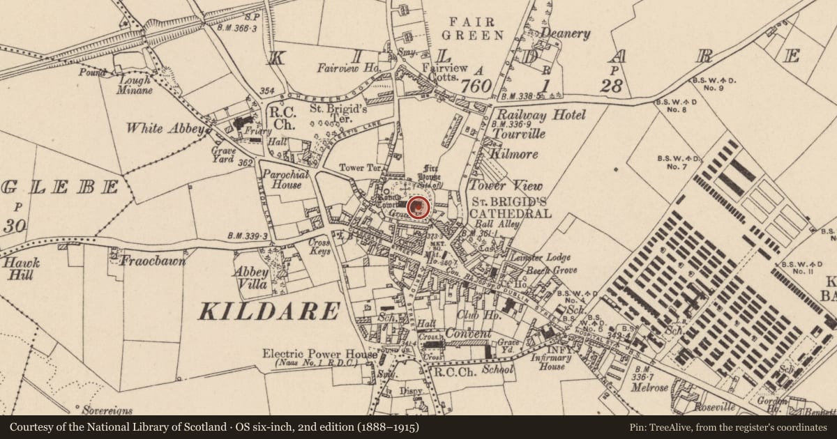 Ordnance Survey six-inch map, 2nd edition (1888–1915) covering the location of Tomb - effigial, Kildare, with a pin at the register's coordinates