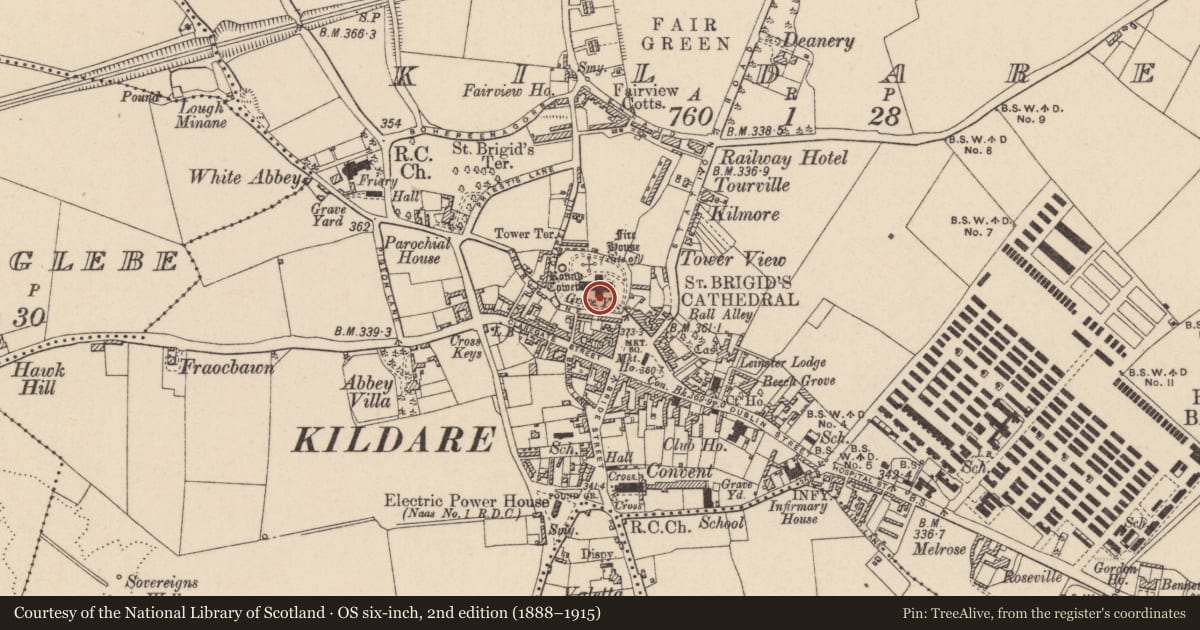 Ordnance Survey six-inch map, 2nd edition (1888–1915) covering the location of Tomb - chest tomb, Kildare, with a pin at the register's coordinates