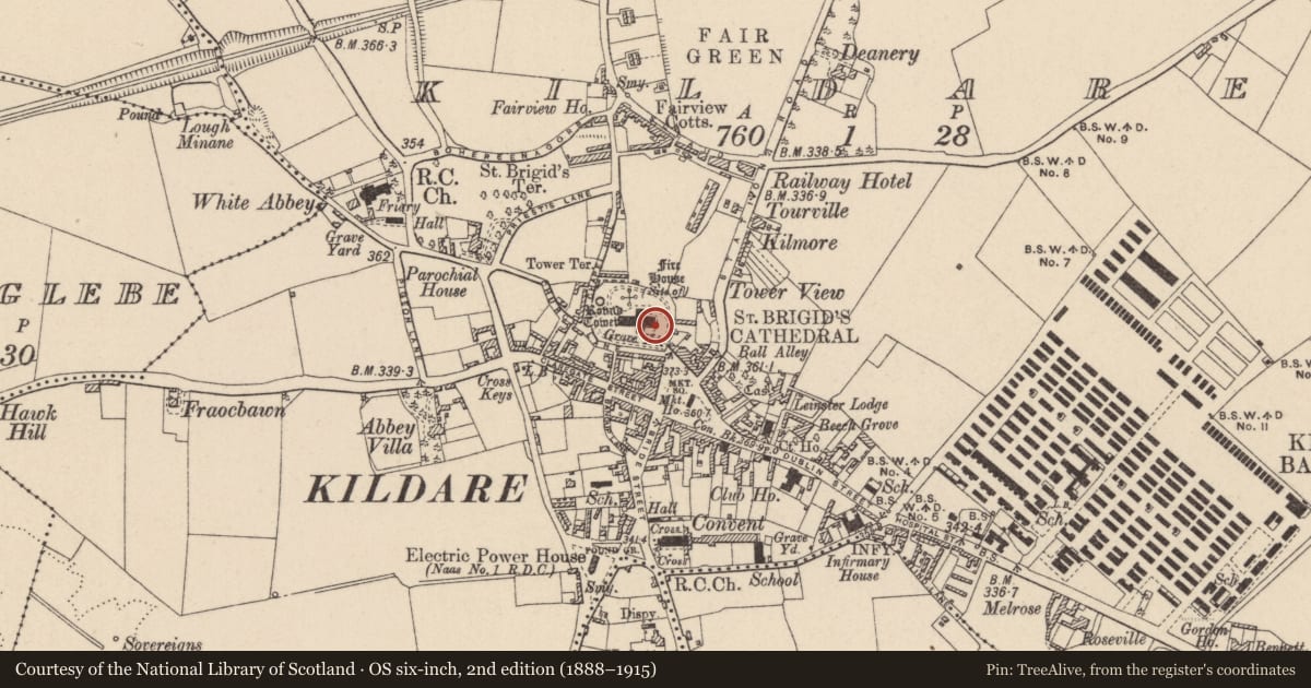 Ordnance Survey six-inch map, 2nd edition (1888–1915) covering the location of Graveslab, Kildare, with a pin at the register's coordinates