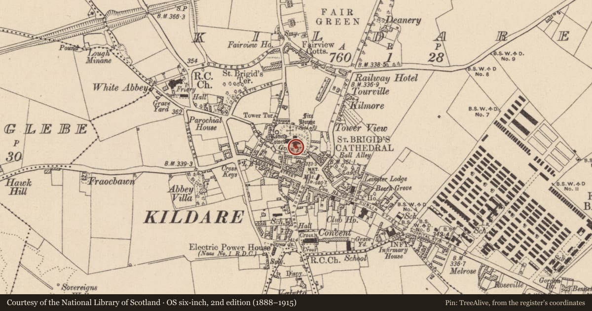 Ordnance Survey six-inch map, 2nd edition (1888–1915) covering the location of Wall monument, Kildare, with a pin at the register's coordinates