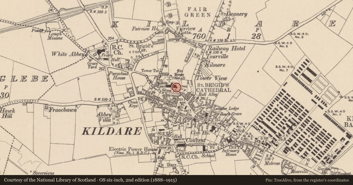 Ordnance Survey six-inch map, 2nd edition (1888–1915) covering the location of Graveslab, Kildare, with a pin at the register's coordinates
