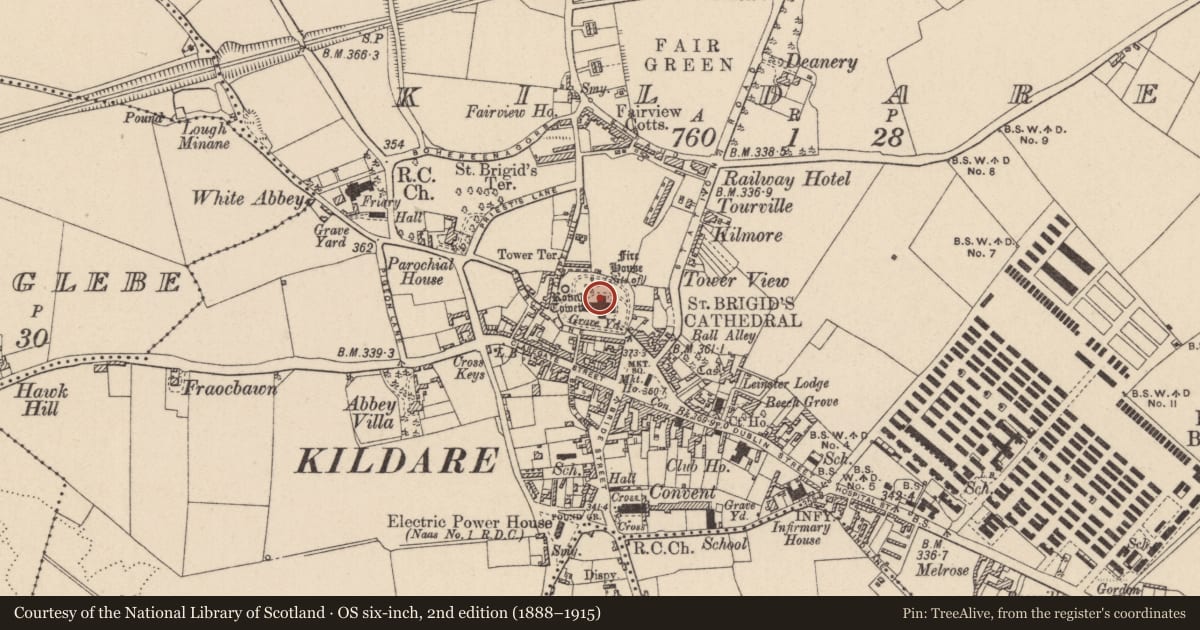 Ordnance Survey six-inch map, 2nd edition (1888–1915) covering the location of Graveslab, Kildare, with a pin at the register's coordinates