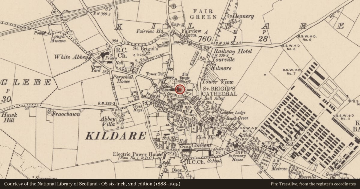 Ordnance Survey six-inch map, 2nd edition (1888–1915) covering the location of Wall monument, Kildare, with a pin at the register's coordinates