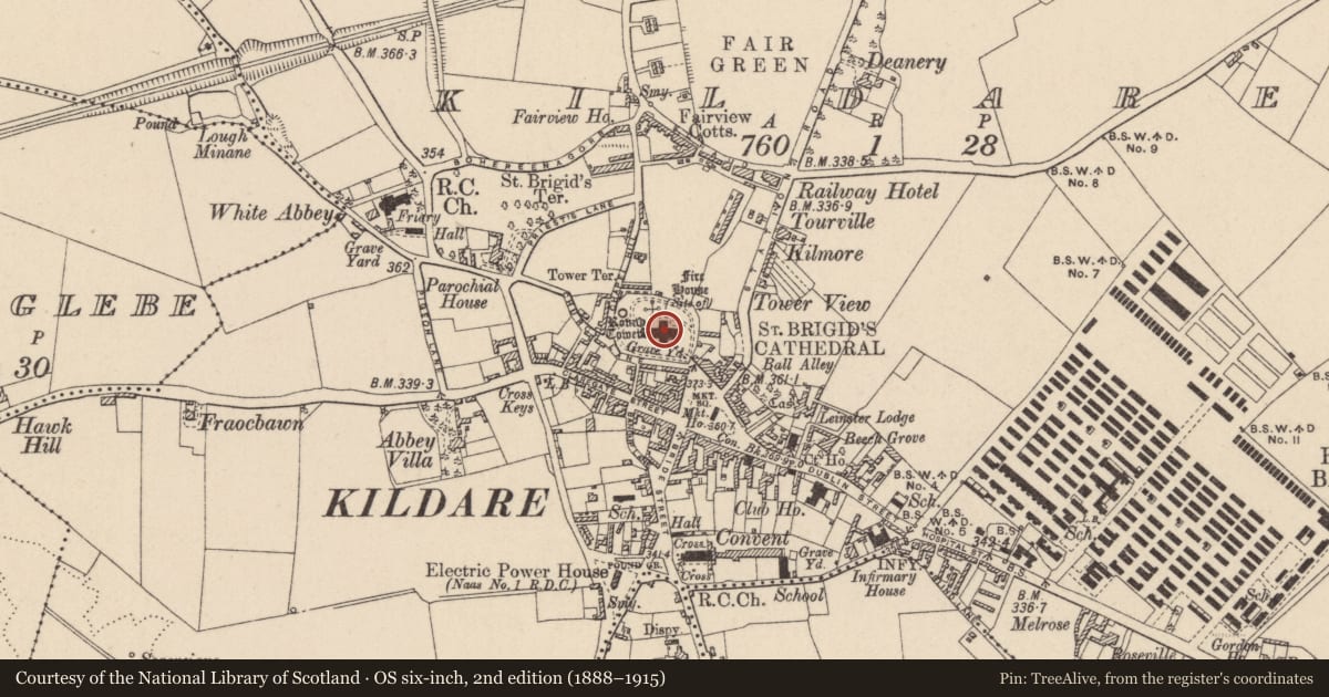 Ordnance Survey six-inch map, 2nd edition (1888–1915) covering the location of Cross-inscribed stone, Kildare, with a pin at the register's coordinates