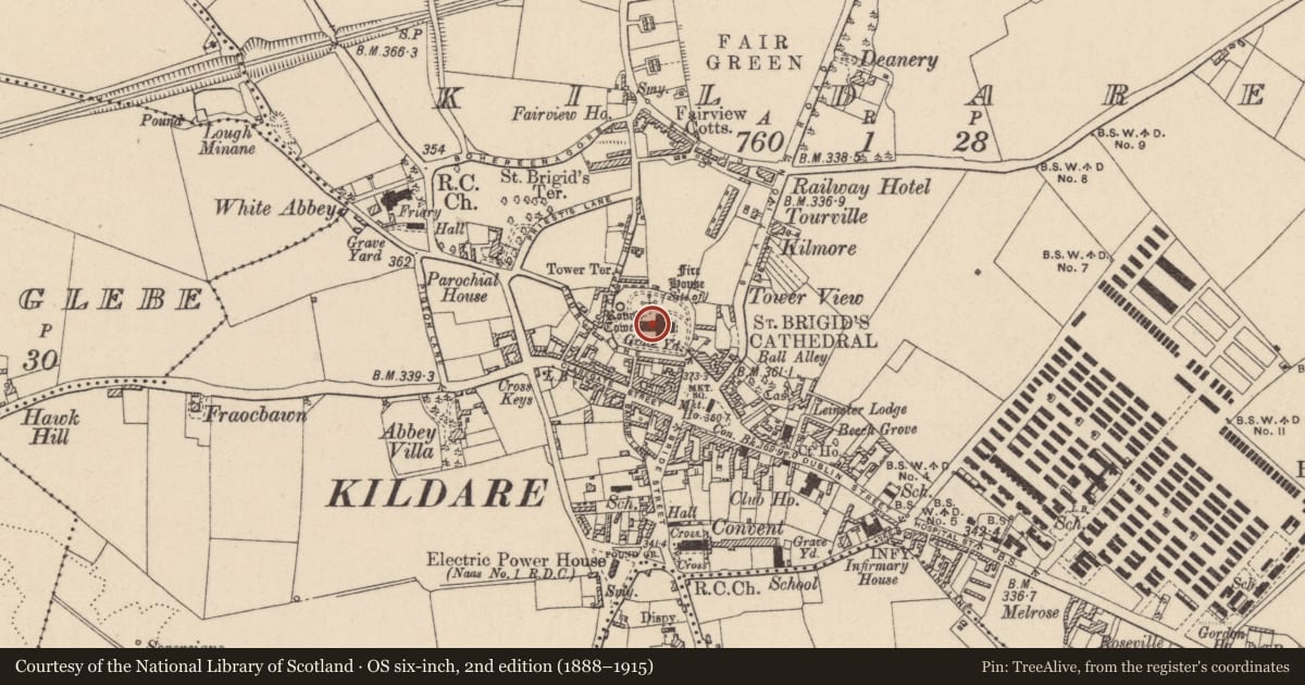 Ordnance Survey six-inch map, 2nd edition (1888–1915) covering the location of Ecclesiastical enclosure, Kildare, with a pin at the register's coordinates