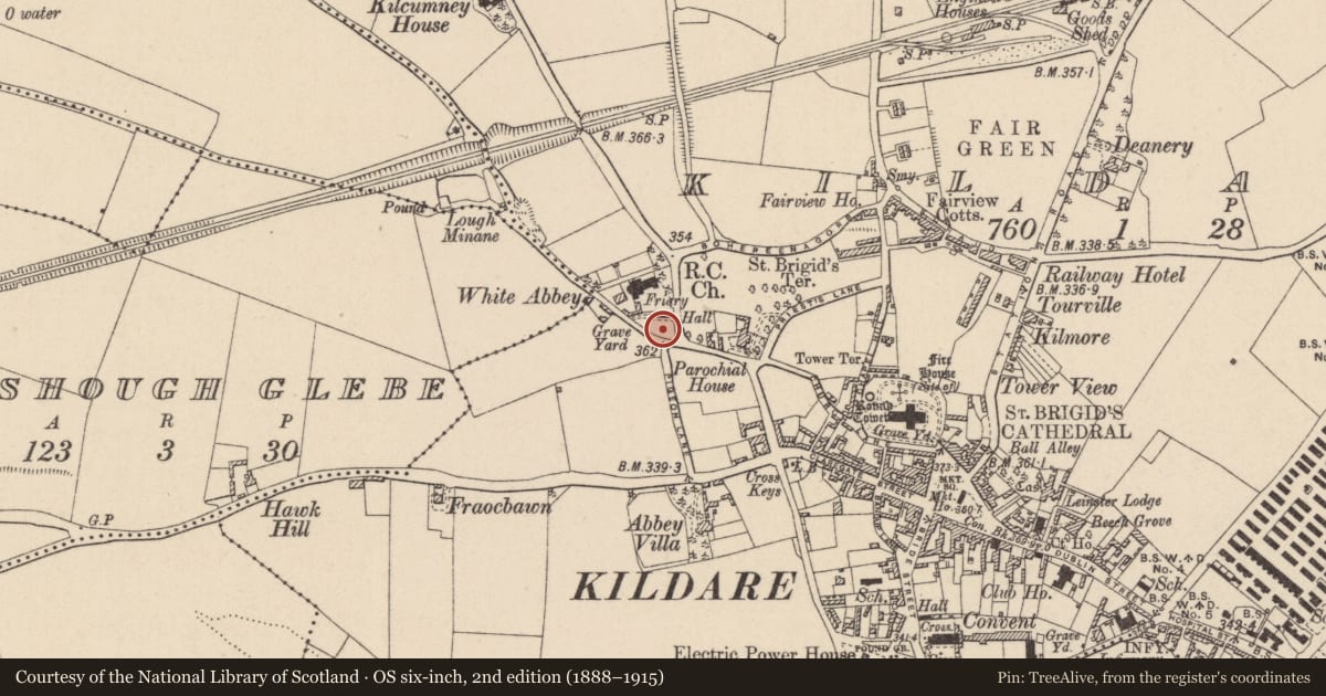 Ordnance Survey six-inch map, 2nd edition (1888–1915) covering the location of Graveyard, Kildare, with a pin at the register's coordinates