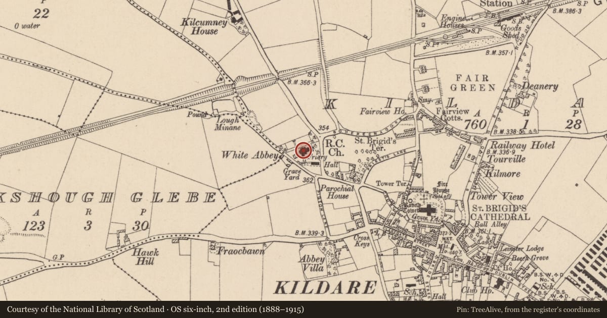 Ordnance Survey six-inch map, 2nd edition (1888–1915) covering the location of Tomb - unclassified, Kildare, with a pin at the register's coordinates