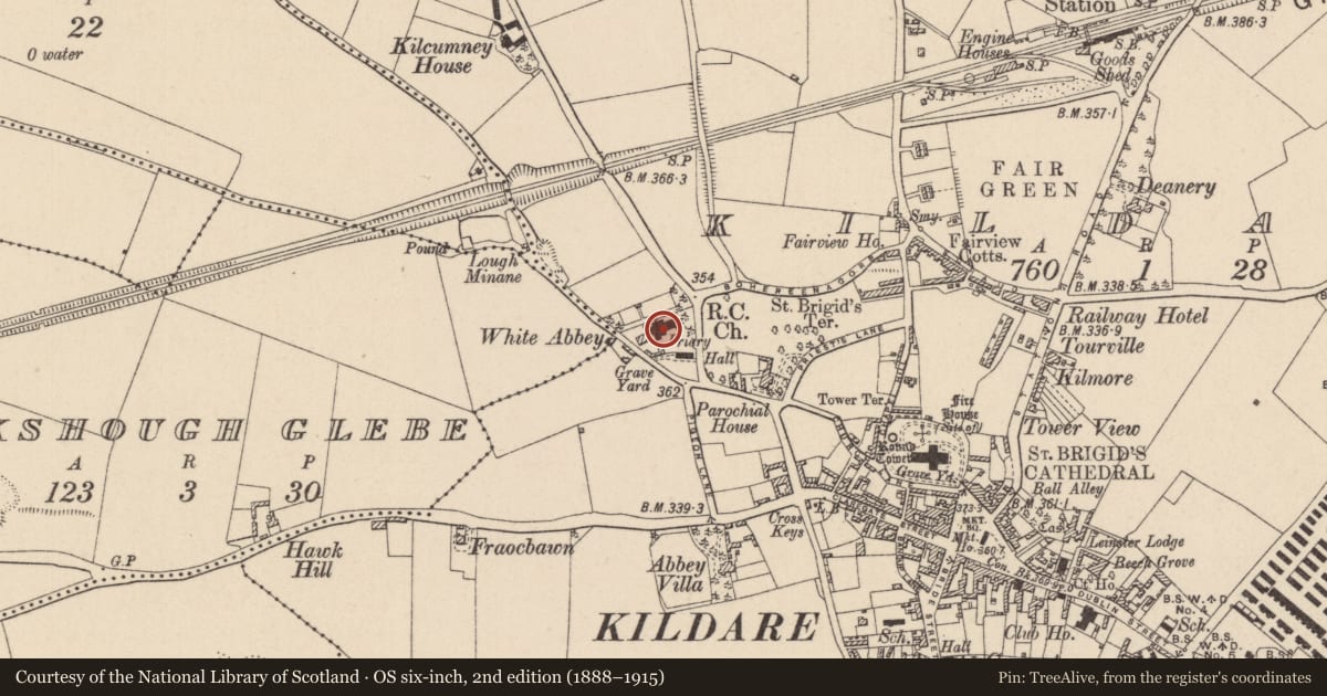 Ordnance Survey six-inch map, 2nd edition (1888–1915) covering the location of Tomb - chest tomb, Kildare, with a pin at the register's coordinates