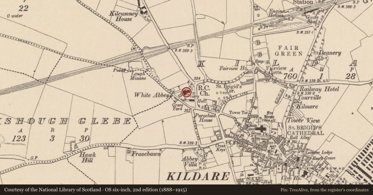 Ordnance Survey six-inch map, 2nd edition (1888–1915) covering the location of Inscribed stone, Kildare, with a pin at the register's coordinates