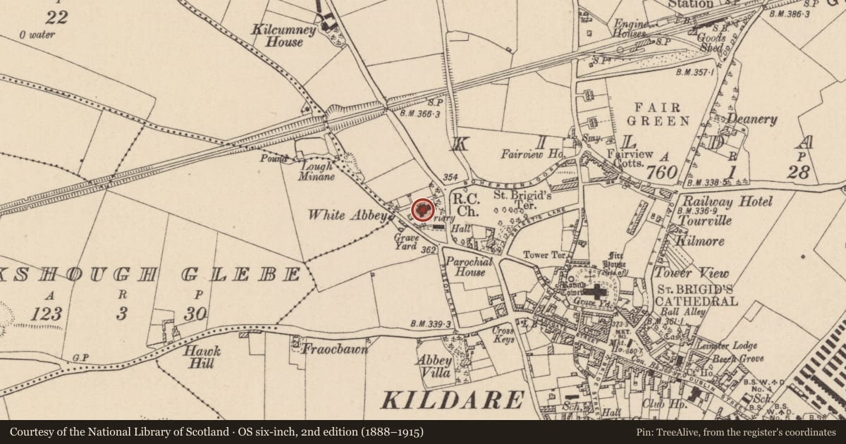 Ordnance Survey six-inch map, 2nd edition (1888–1915) covering the location of Inscribed stone, Kildare, with a pin at the register's coordinates