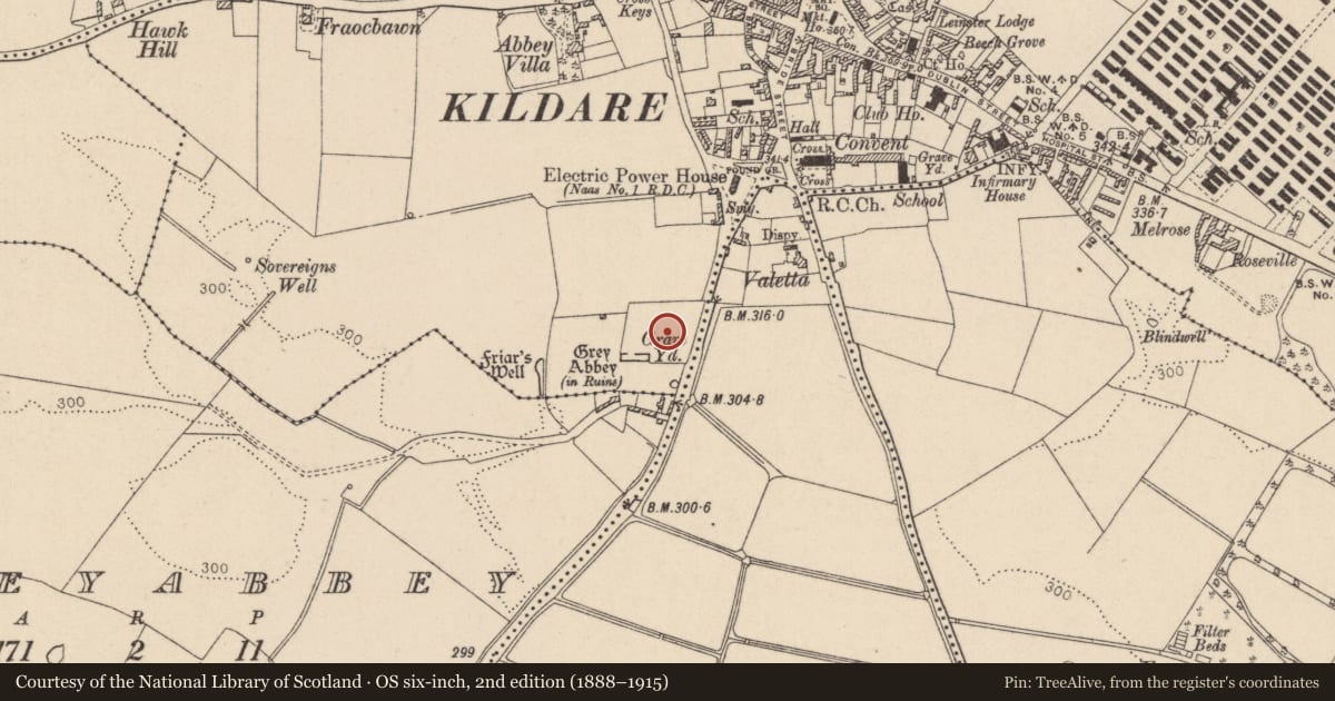 Ordnance Survey six-inch map, 2nd edition (1888–1915) covering the location of Graveyard, Kildare, with a pin at the register's coordinates