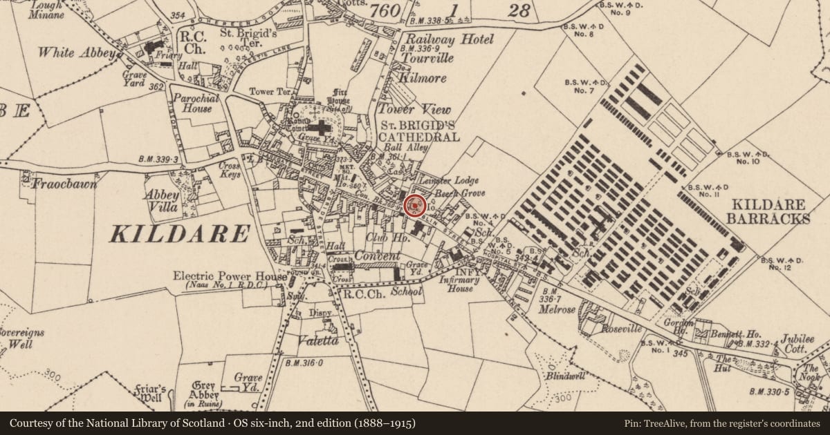 Ordnance Survey six-inch map, 2nd edition (1888–1915) covering the location of Architectural feature, Kildare, with a pin at the register's coordinates
