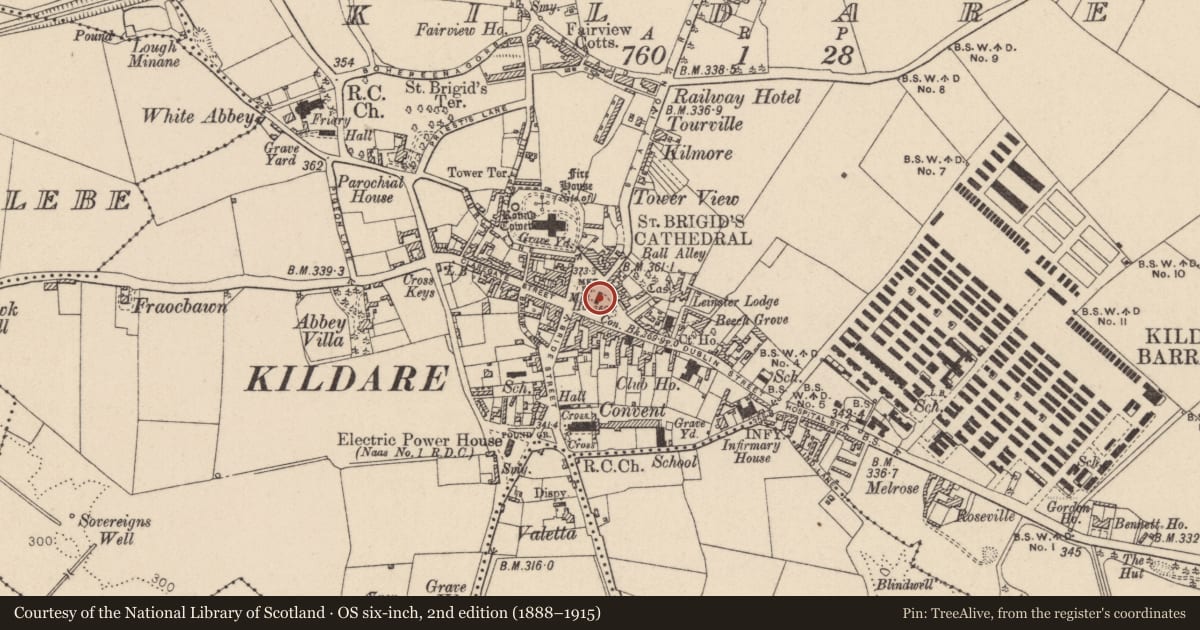 Ordnance Survey six-inch map, 2nd edition (1888–1915) covering the location of Tomb - effigial, Kildare, with a pin at the register's coordinates