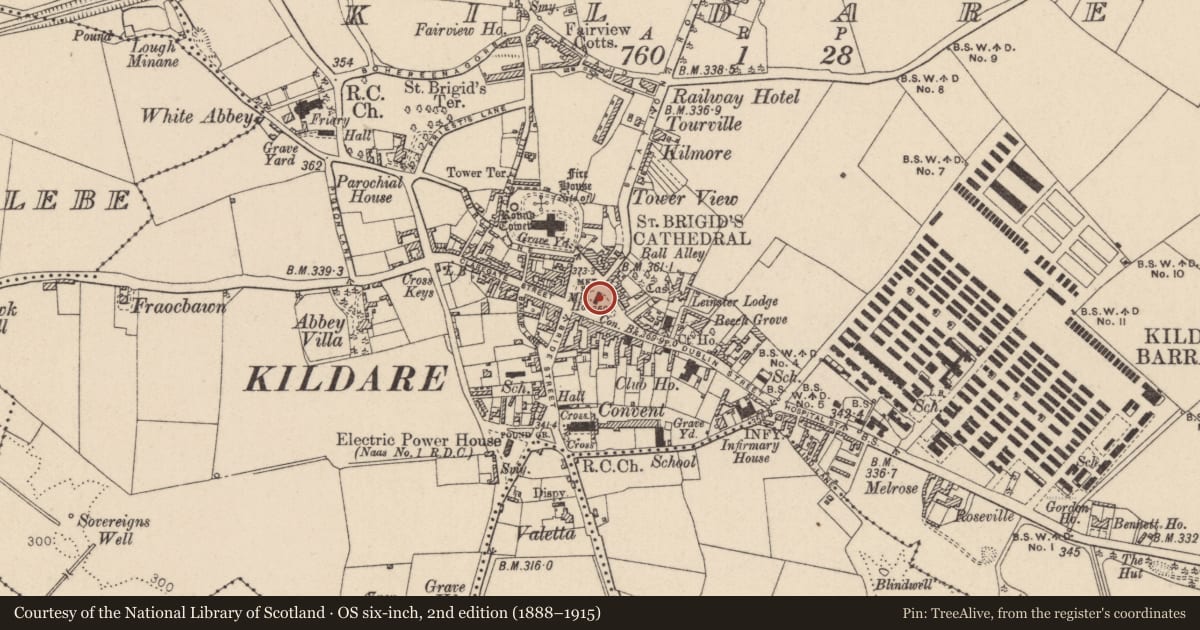 Ordnance Survey six-inch map, 2nd edition (1888–1915) covering the location of Armorial plaque, Kildare, with a pin at the register's coordinates