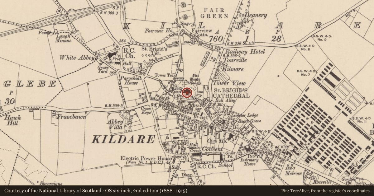 Ordnance Survey six-inch map, 2nd edition (1888–1915) covering the location of Sheela-na-gig (present location), Kildare, with a pin at the register's coordinates