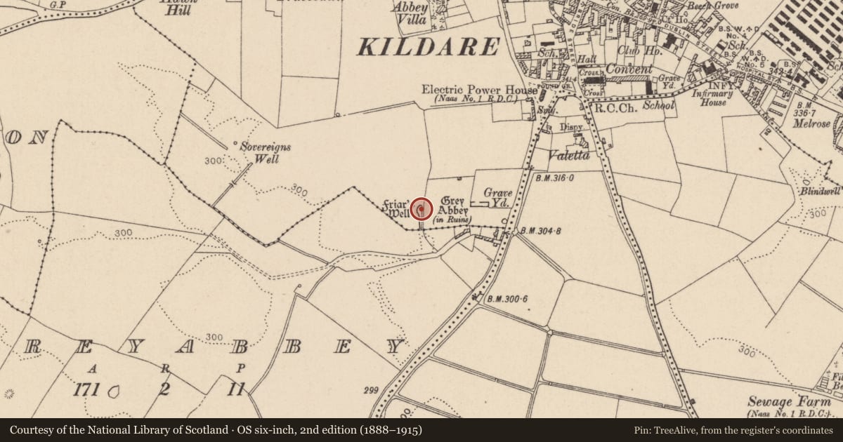 Ordnance Survey six-inch map, 2nd edition (1888–1915) covering the location of Well, Kildare, with a pin at the register's coordinates