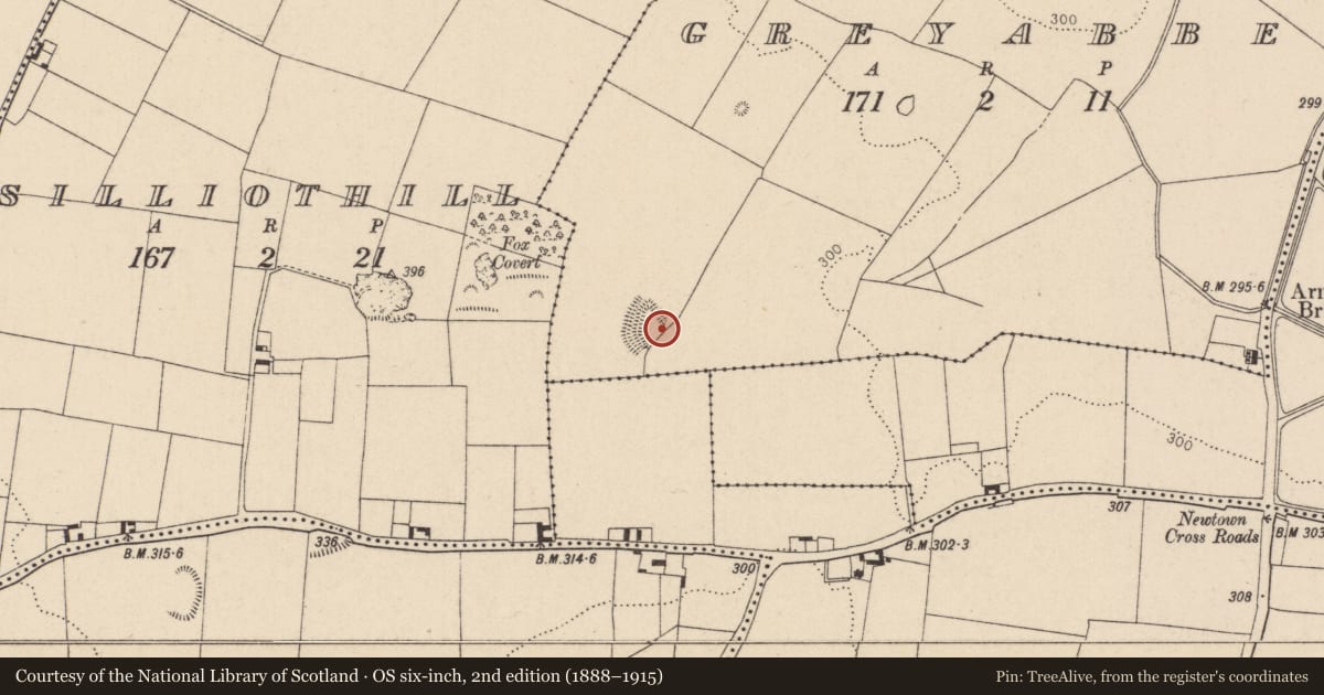 Ordnance Survey six-inch map, 2nd edition (1888–1915) covering the location of Settlement deserted - medieval, County Kildare, with a pin at the register's coordinates