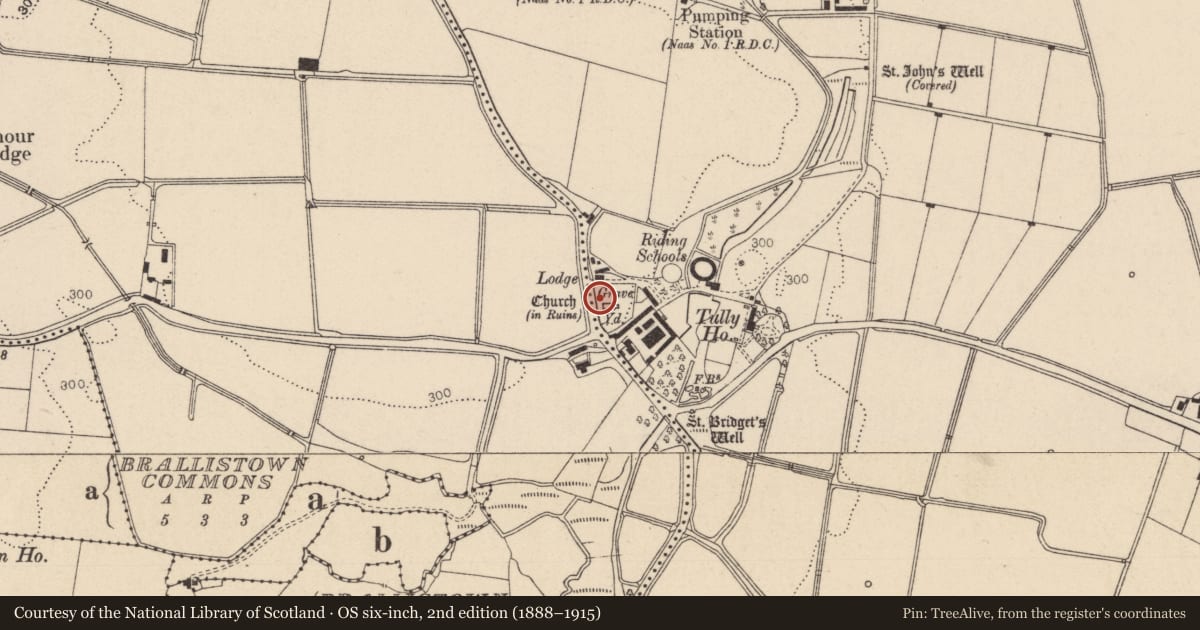 Ordnance Survey six-inch map, 2nd edition (1888–1915) covering the location of Sheela-na-gig, Tully East, County Kildare, with a pin at the register's coordinates