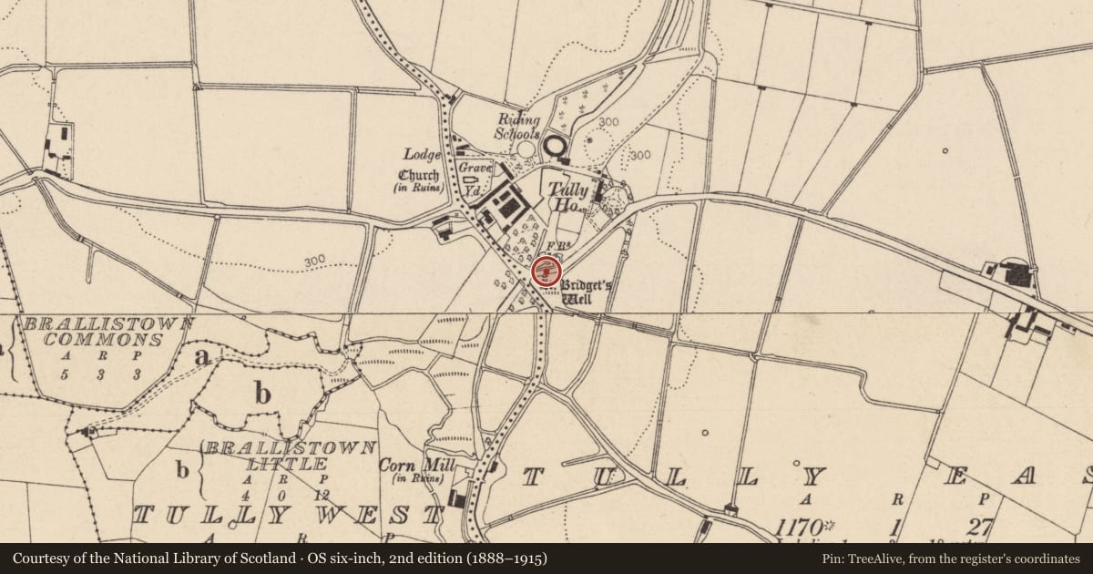 Ordnance Survey six-inch map, 2nd edition (1888–1915) covering the location of Ritual site - holy well, Tully East, County Kildare, with a pin at the register's coordinates