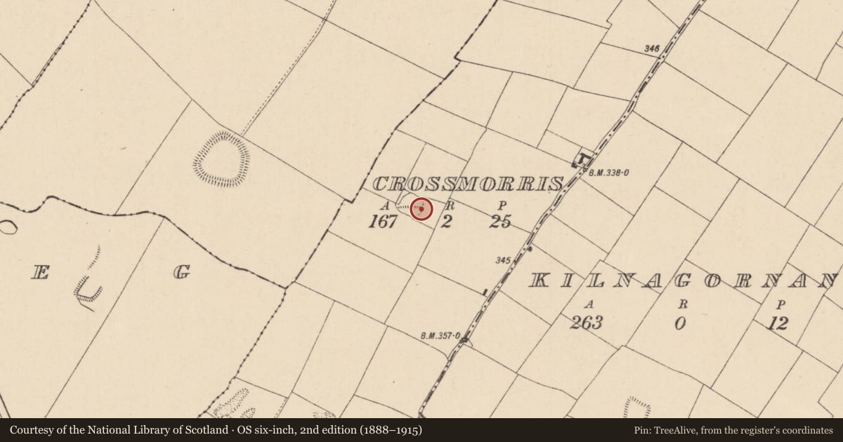 Ordnance Survey six-inch map, 2nd edition (1888–1915) covering the location of Enclosure, Crossmorris, County Kildare, with a pin at the register's coordinates