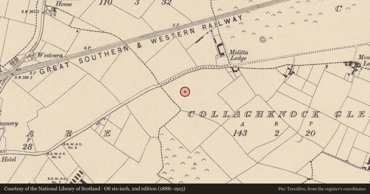 Ordnance Survey six-inch map, 2nd edition (1888–1915) covering the location of Burial, Collaghknock Glebe, County Kildare, with a pin at the register's coordinates