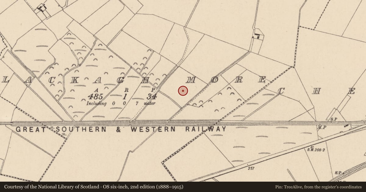 Ordnance Survey six-inch map, 2nd edition (1888–1915) covering the location of Crannog, Lackagh More, County Kildare, with a pin at the register's coordinates