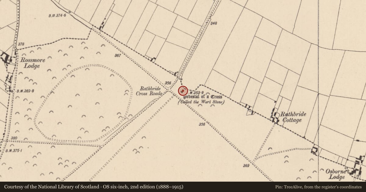 Ordnance Survey six-inch map, 2nd edition (1888–1915) covering the location of Cross - Wayside cross, Curragh, County Kildare, with a pin at the register's coordinates