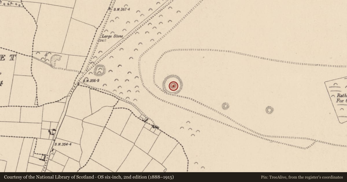 Ordnance Survey six-inch map, 2nd edition (1888–1915) covering the location of Barrow - ring-barrow, Curragh, County Kildare, with a pin at the register's coordinates
