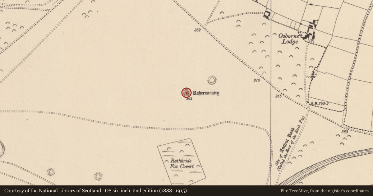 Ordnance Survey six-inch map, 2nd edition (1888–1915) covering the location of Barrow - ring-barrow, Curragh, County Kildare, with a pin at the register's coordinates