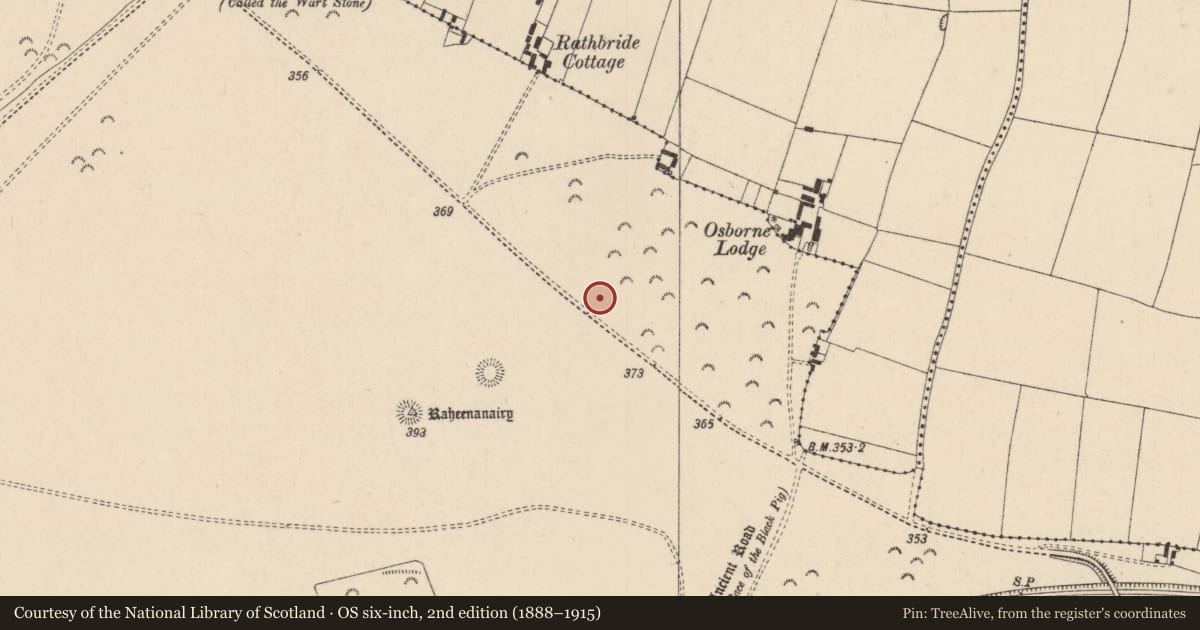 Ordnance Survey six-inch map, 2nd edition (1888–1915) covering the location of Barrow - ring-barrow, Curragh, County Kildare, with a pin at the register's coordinates