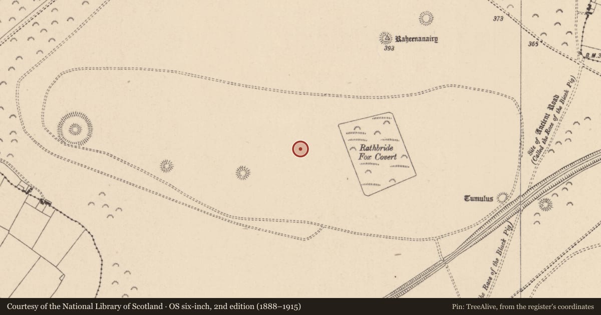 Ordnance Survey six-inch map, 2nd edition (1888–1915) covering the location of Barrow - ring-barrow, Curragh, County Kildare, with a pin at the register's coordinates