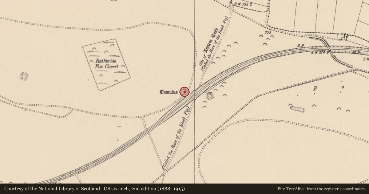 Ordnance Survey six-inch map, 2nd edition (1888–1915) covering the location of Barrow - ring-barrow, Curragh, County Kildare, with a pin at the register's coordinates