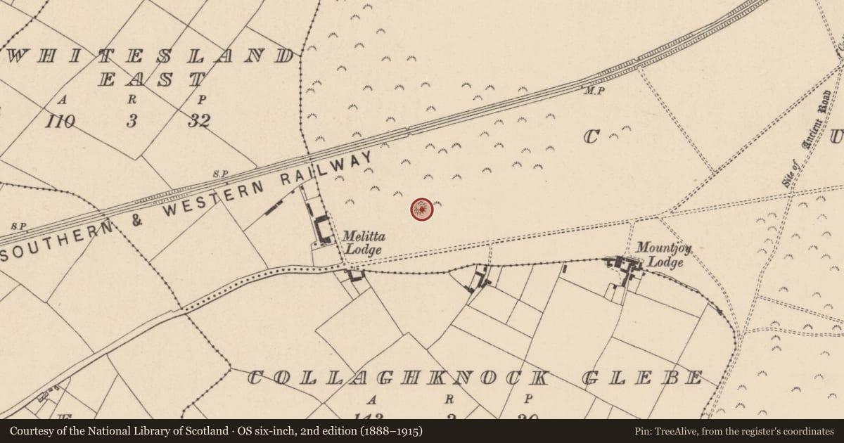 Ordnance Survey six-inch map, 2nd edition (1888–1915) covering the location of Barrow - ring-barrow, Curragh, County Kildare, with a pin at the register's coordinates