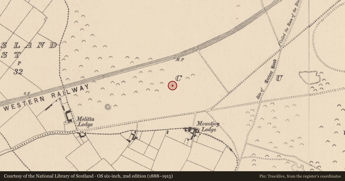 Ordnance Survey six-inch map, 2nd edition (1888–1915) covering the location of Barrow - ring-barrow, Curragh, County Kildare, with a pin at the register's coordinates