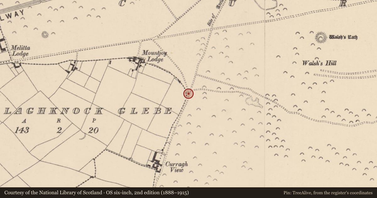 Ordnance Survey six-inch map, 2nd edition (1888–1915) covering the location of Linear earthwork, Curragh, County Kildare, with a pin at the register's coordinates