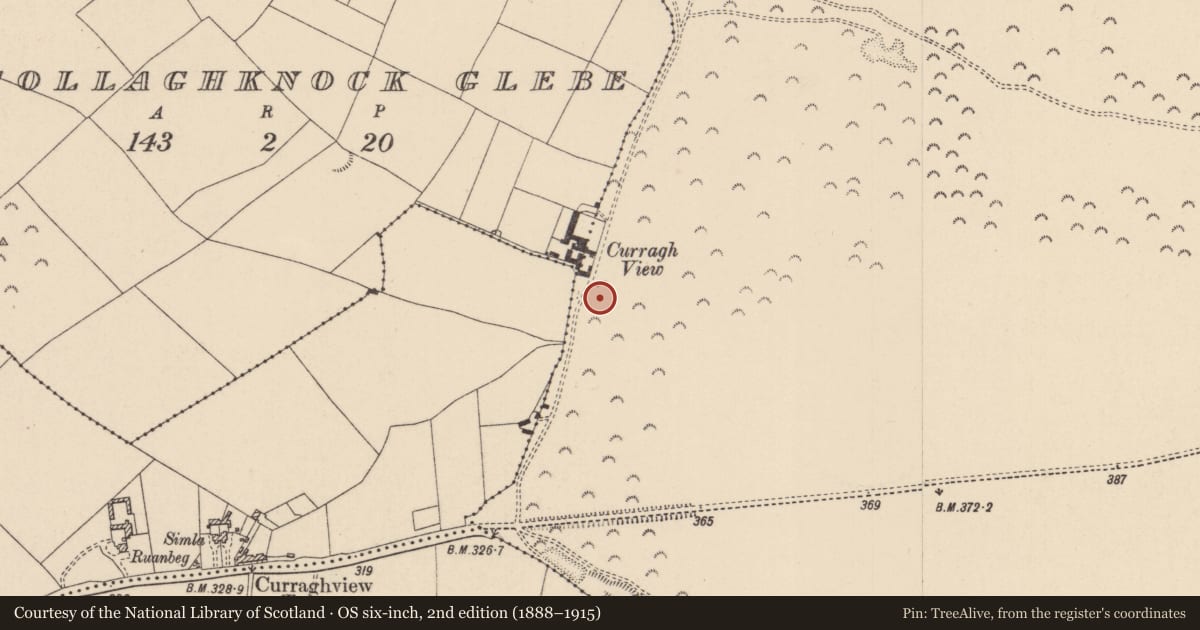Ordnance Survey six-inch map, 2nd edition (1888–1915) covering the location of Barrow - ring-barrow, Curragh, County Kildare, with a pin at the register's coordinates