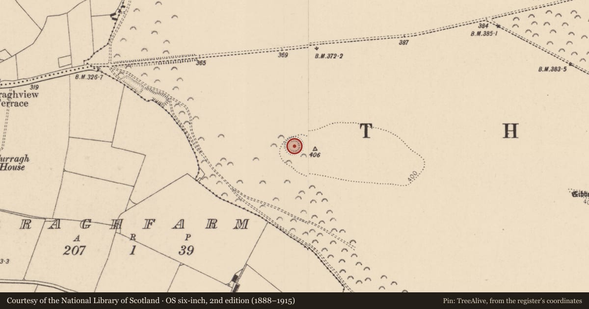 Ordnance Survey six-inch map, 2nd edition (1888–1915) covering the location of Ringfort - rath, Curragh, County Kildare, with a pin at the register's coordinates