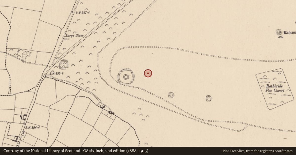 Ordnance Survey six-inch map, 2nd edition (1888–1915) covering the location of Enclosure, Curragh, County Kildare, with a pin at the register's coordinates