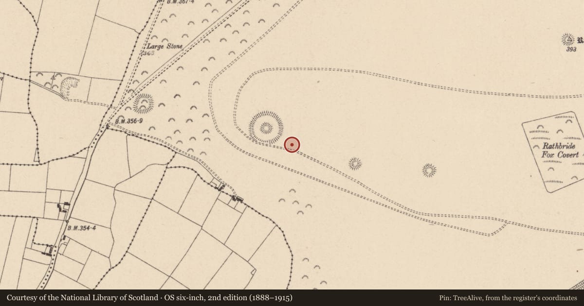 Ordnance Survey six-inch map, 2nd edition (1888–1915) covering the location of Barrow - ring-barrow, Curragh, County Kildare, with a pin at the register's coordinates