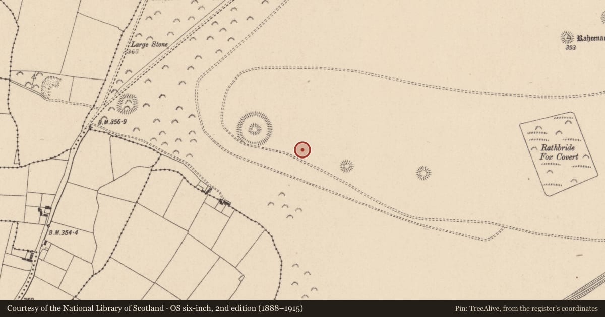 Ordnance Survey six-inch map, 2nd edition (1888–1915) covering the location of Barrow - unclassified, Curragh, County Kildare, with a pin at the register's coordinates