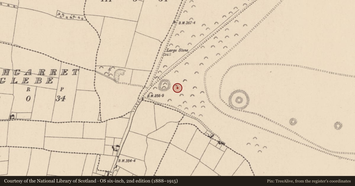 Ordnance Survey six-inch map, 2nd edition (1888–1915) covering the location of Barrow - ring-barrow, Curragh, County Kildare, with a pin at the register's coordinates