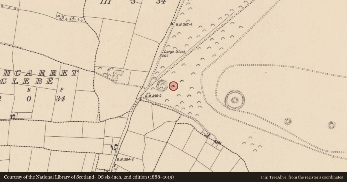 Ordnance Survey six-inch map, 2nd edition (1888–1915) covering the location of Barrow - ring-barrow, Curragh, County Kildare, with a pin at the register's coordinates