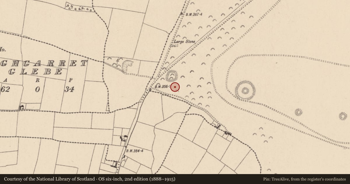 Ordnance Survey six-inch map, 2nd edition (1888–1915) covering the location of Barrow - ring-barrow, Curragh, County Kildare, with a pin at the register's coordinates