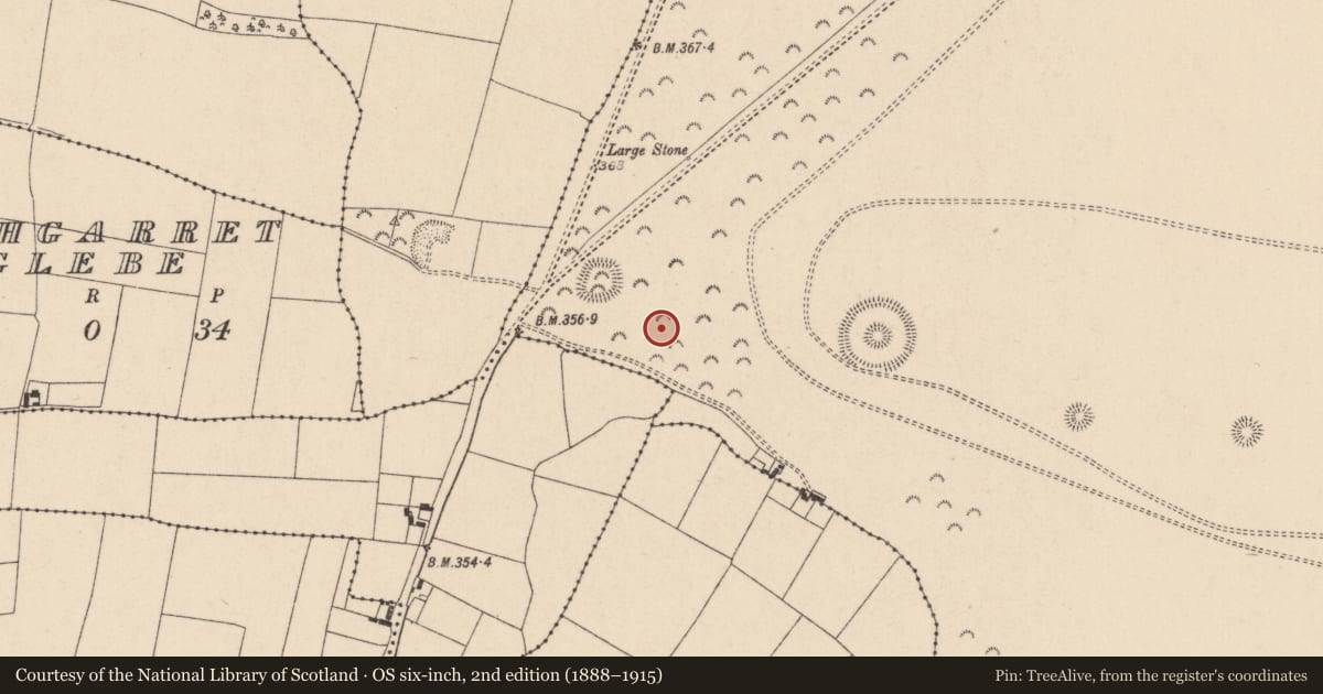 Ordnance Survey six-inch map, 2nd edition (1888–1915) covering the location of Barrow - ring-barrow, Curragh, County Kildare, with a pin at the register's coordinates