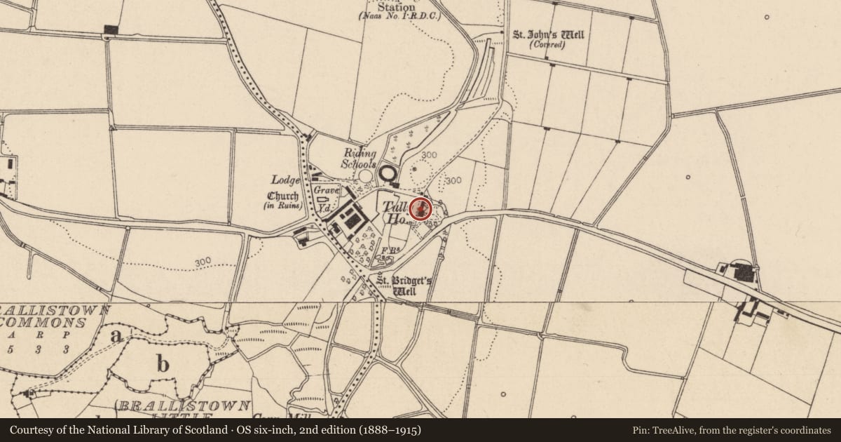 Ordnance Survey six-inch map, 2nd edition (1888–1915) covering the location of Castle - unclassified, Tully East, Tully West, County Kildare, with a pin at the register's coordinates