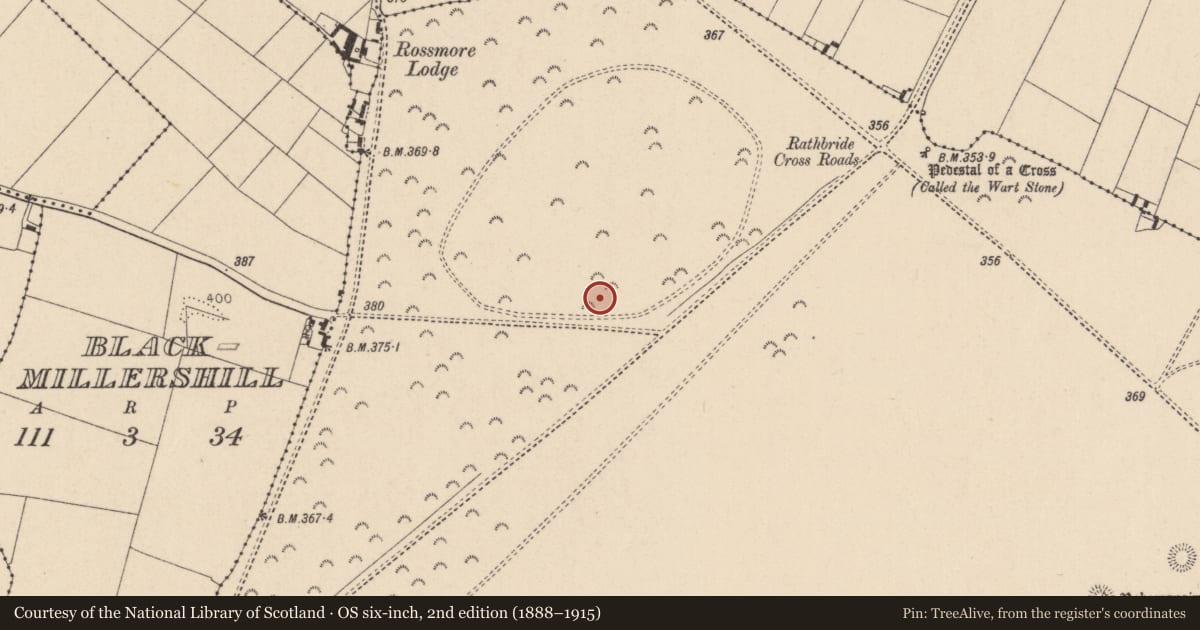 Ordnance Survey six-inch map, 2nd edition (1888–1915) covering the location of Ring-ditch, Curragh, County Kildare, with a pin at the register's coordinates