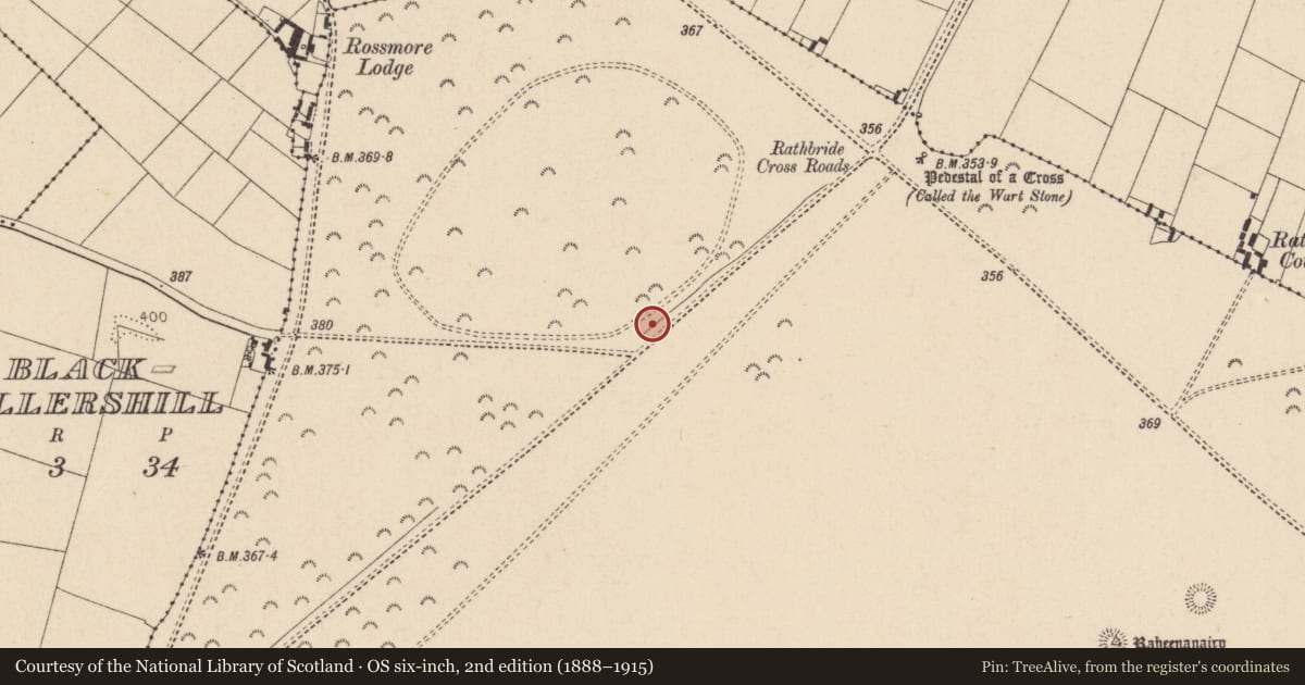 Ordnance Survey six-inch map, 2nd edition (1888–1915) covering the location of Ring-ditch, Curragh, County Kildare, with a pin at the register's coordinates