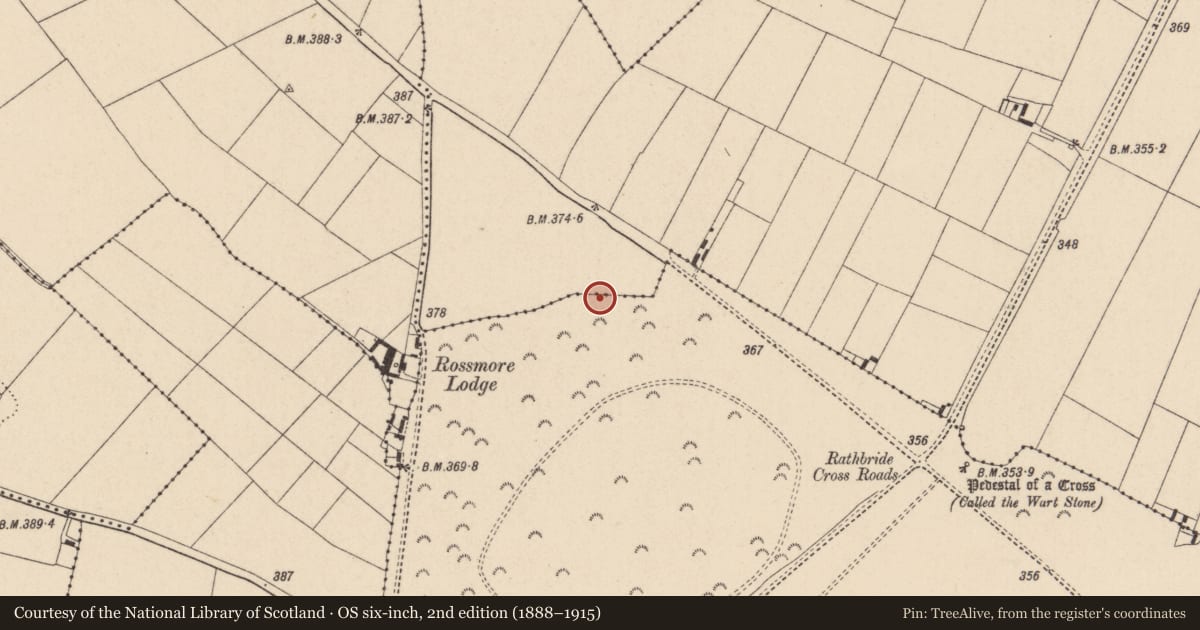 Ordnance Survey six-inch map, 2nd edition (1888–1915) covering the location of Enclosure, Curragh, County Kildare, with a pin at the register's coordinates