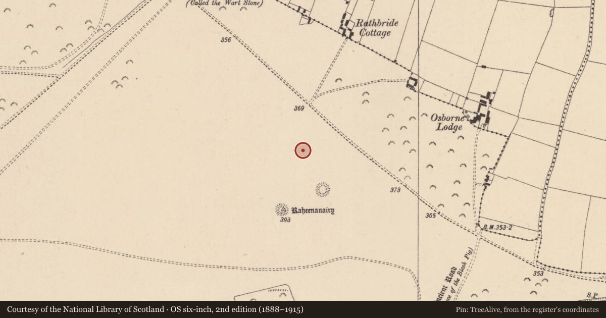 Ordnance Survey six-inch map, 2nd edition (1888–1915) covering the location of Barrow - ditch barrow, Curragh, County Kildare, with a pin at the register's coordinates