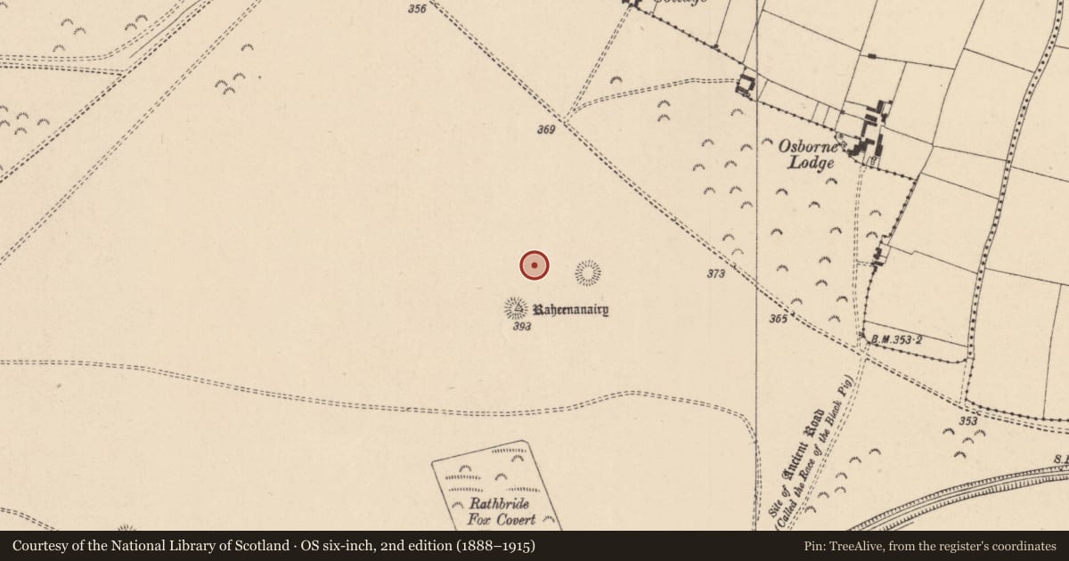 Ordnance Survey six-inch map, 2nd edition (1888–1915) covering the location of Barrow - ditch barrow, Curragh, County Kildare, with a pin at the register's coordinates